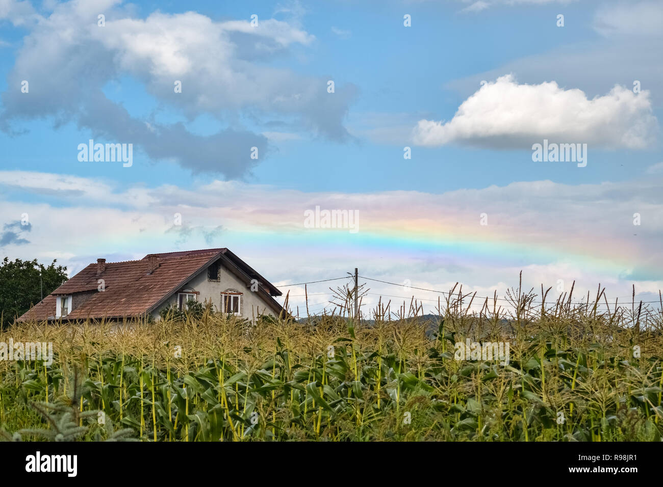 Bassa rainbow su un cornfield e casa in Transilvania, Romania. Bellissimo fenomeno naturale in un paesaggio. Foto Stock