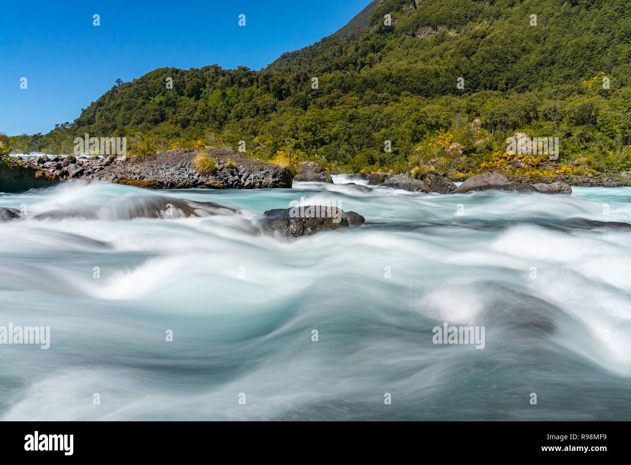 Rapide del Fiume Petrohue in Vicente Perez Rosales National Park. Foto Stock