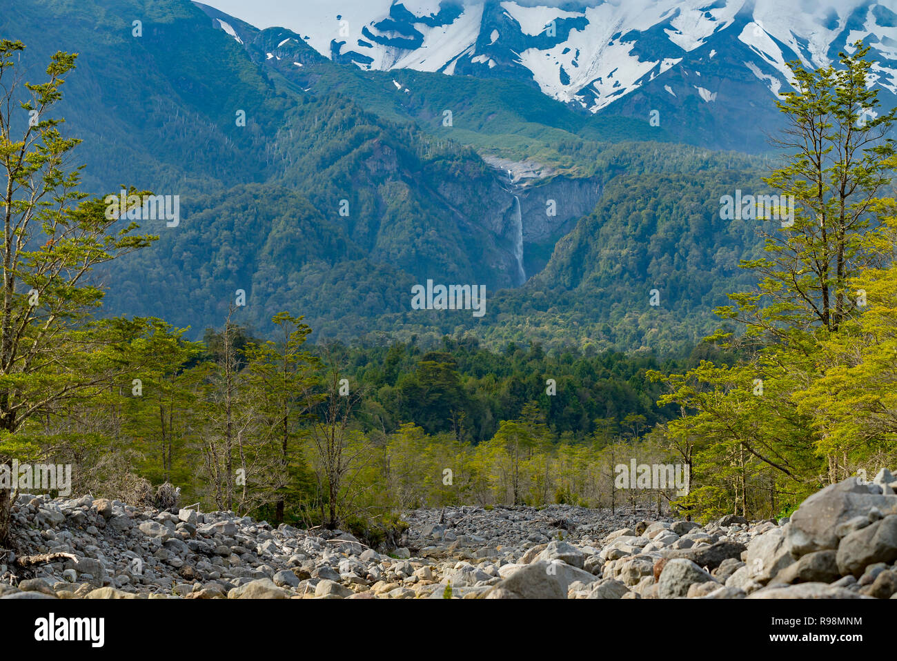 Cascata di grande altezza proveniente dal disgelo del vulcano Calbuco, circondato da una foresta nativa Foto Stock