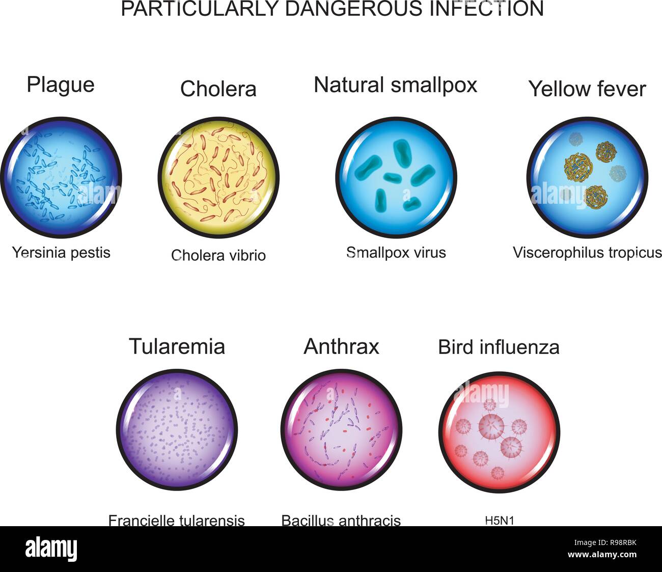 Illustrazione vettoriale di particolarmente pericolose infezioni. microrganismi Illustrazione Vettoriale