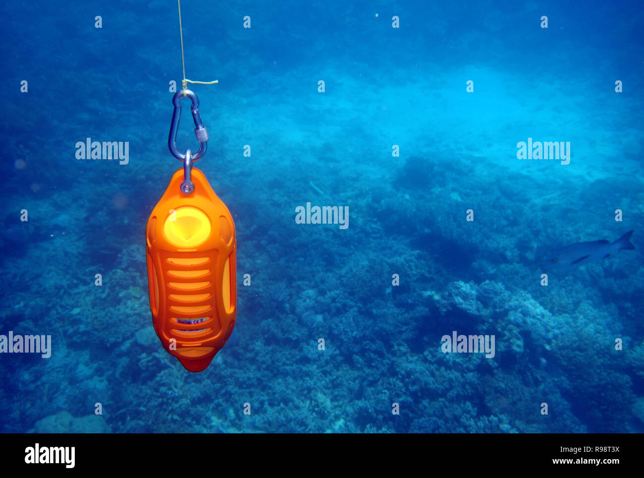 Strumento oceanografico di misurazione della temperatura, conducibilità e salinità sulla barriera corallina, della Grande Barriera Corallina, Queensland, Australia. N. PR Foto Stock