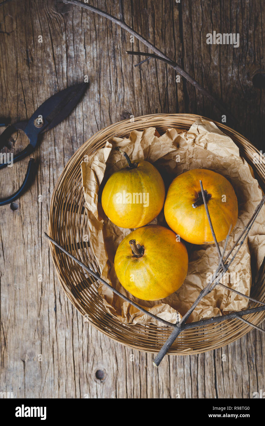 Lucuma frutti- Eggfruits Foto Stock