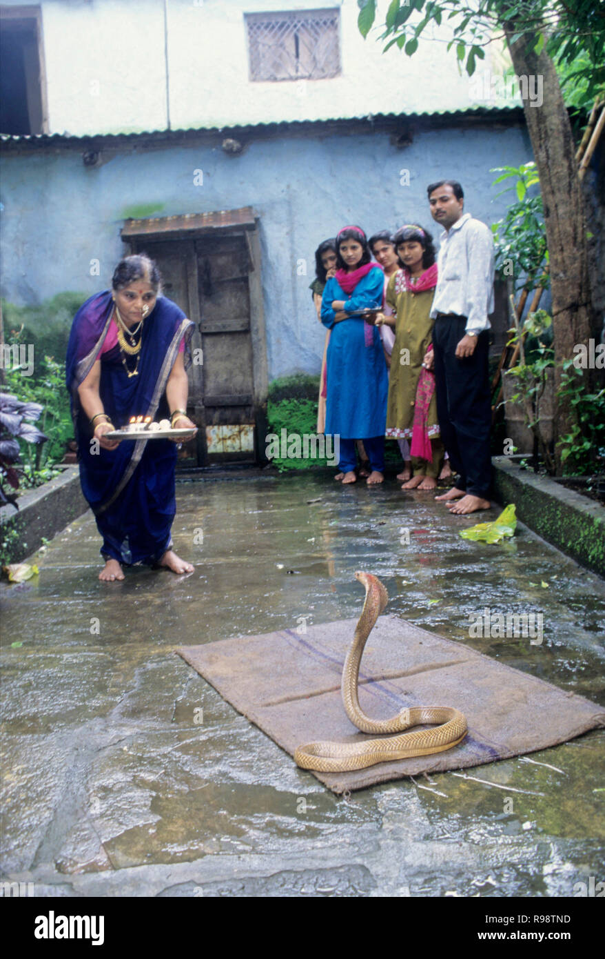 Donna che prega per cobra snake sul serpente nagapanchami festival shirala battis India Foto Stock