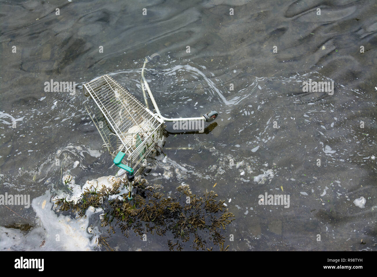 Estremamente acque inquinate, schiuma bianca e slick di olio sul mare. Carrello della spesa Foto Stock