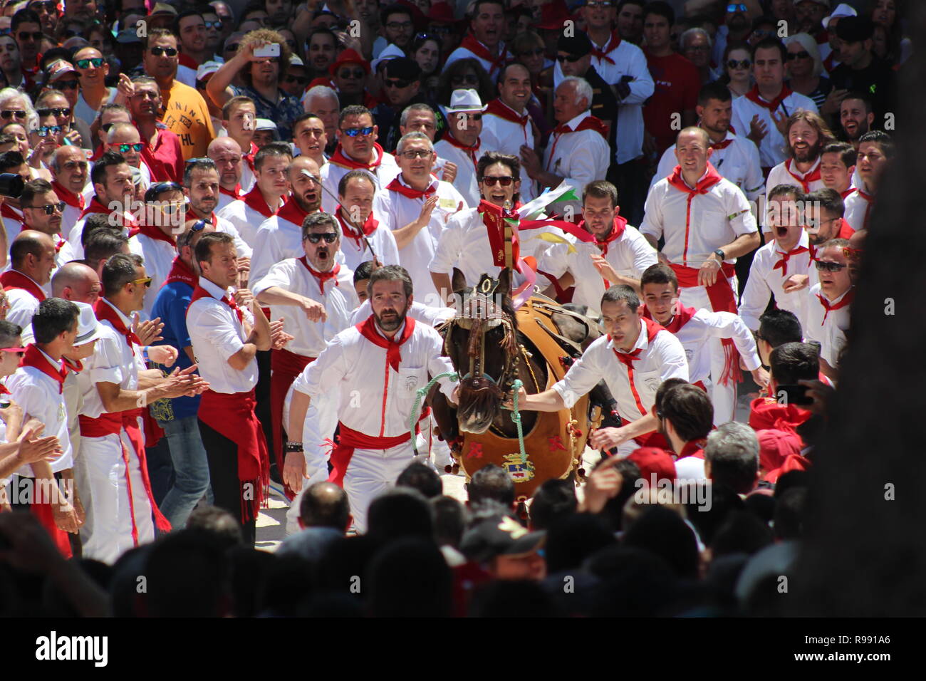 I cavalli e gli uomini a competere in Los Caballos del Vino in Caravaca de la Cruz Foto Stock