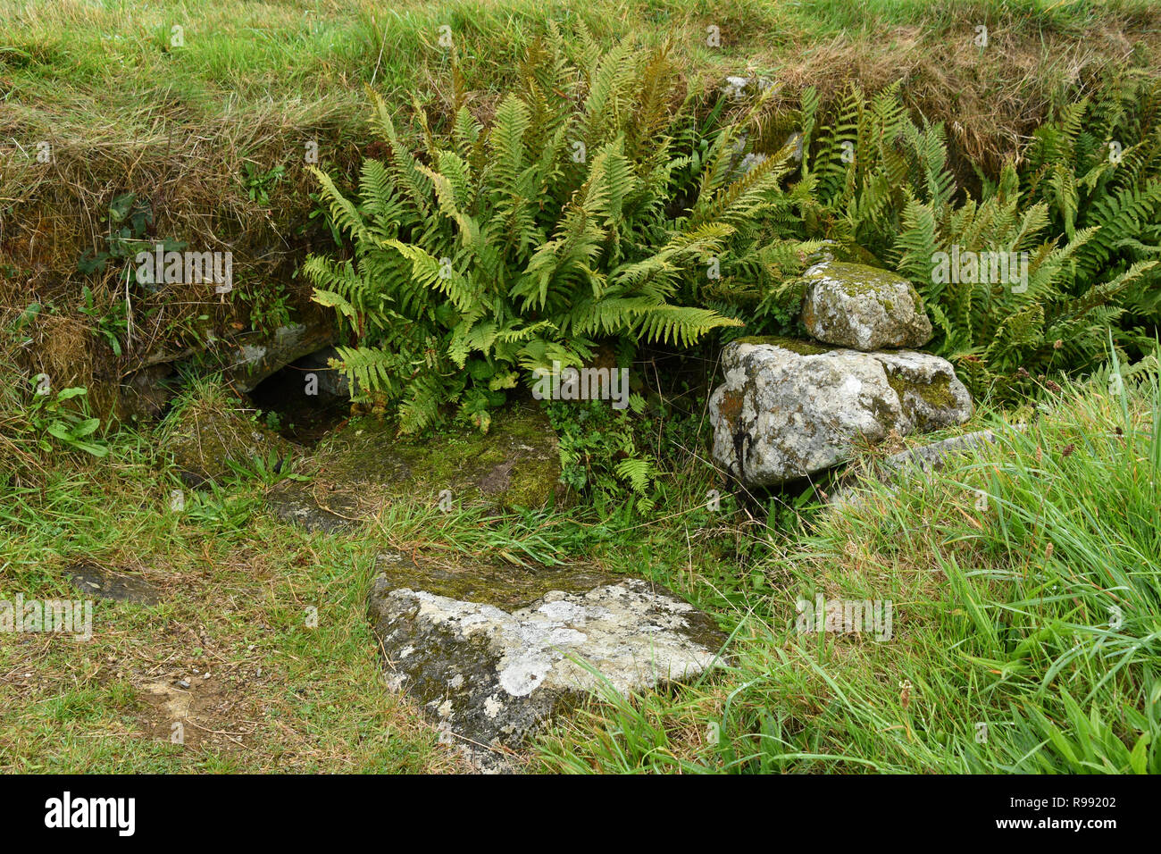 Carn Euny. Età del ferro antico villaggio nel sud-ovest dell'Inghilterra. È stato abitato sin dall'età del Ferro fino alla fine dell'occupazione romana della Gran Bretagna Foto Stock