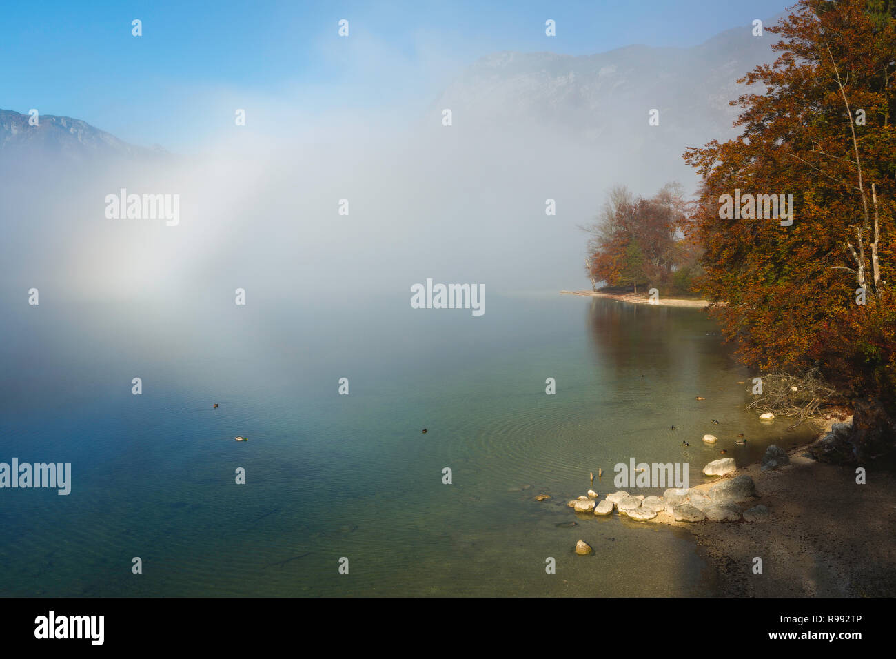 Un fogbow moduli sul lago di Bohinj in autunno in Slovenia. Foto Stock