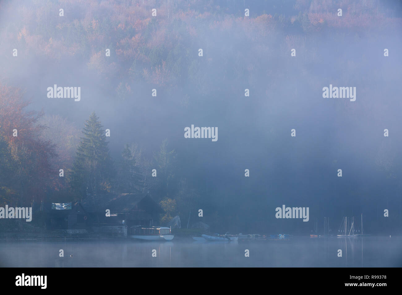 Rotoli di nebbia nel porto di Lago di Bohinj in Slovenia. caduta. Foto Stock