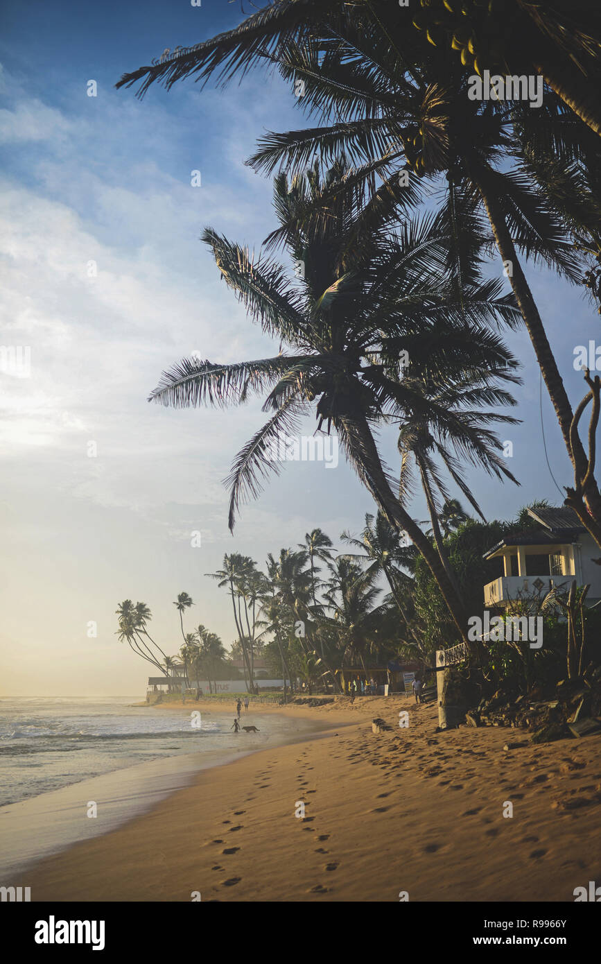 Hikkaduwa spiaggia al tramonto, Sri Lanka Foto Stock