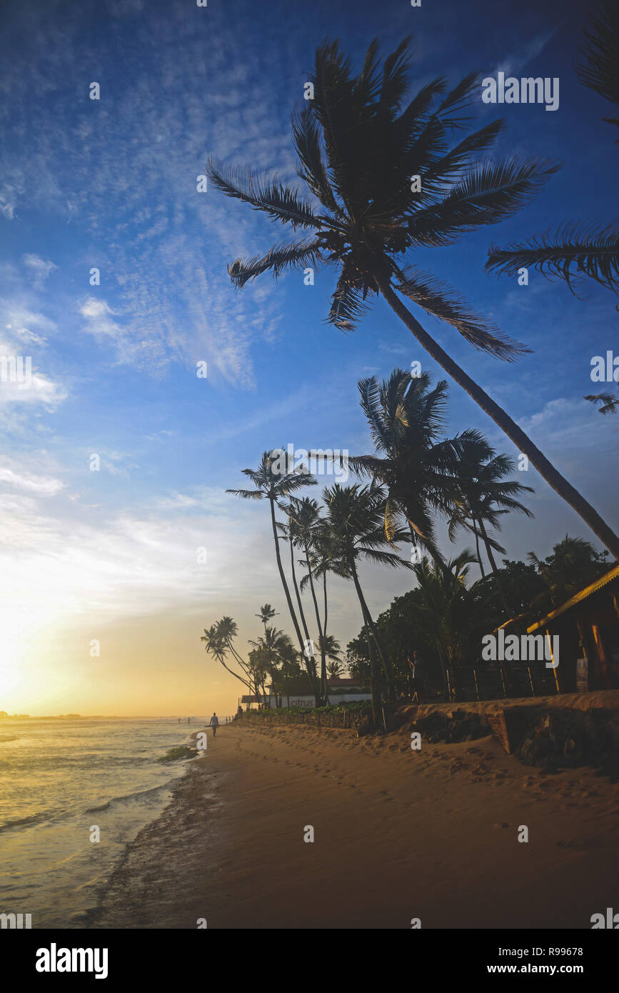 Hikkaduwa spiaggia al tramonto, Sri Lanka Foto Stock
