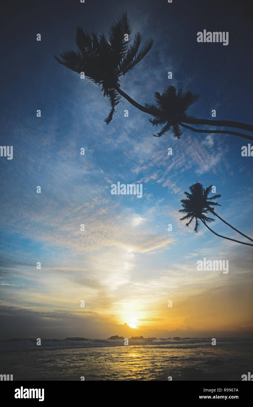 Hikkaduwa spiaggia al tramonto, Sri Lanka Foto Stock