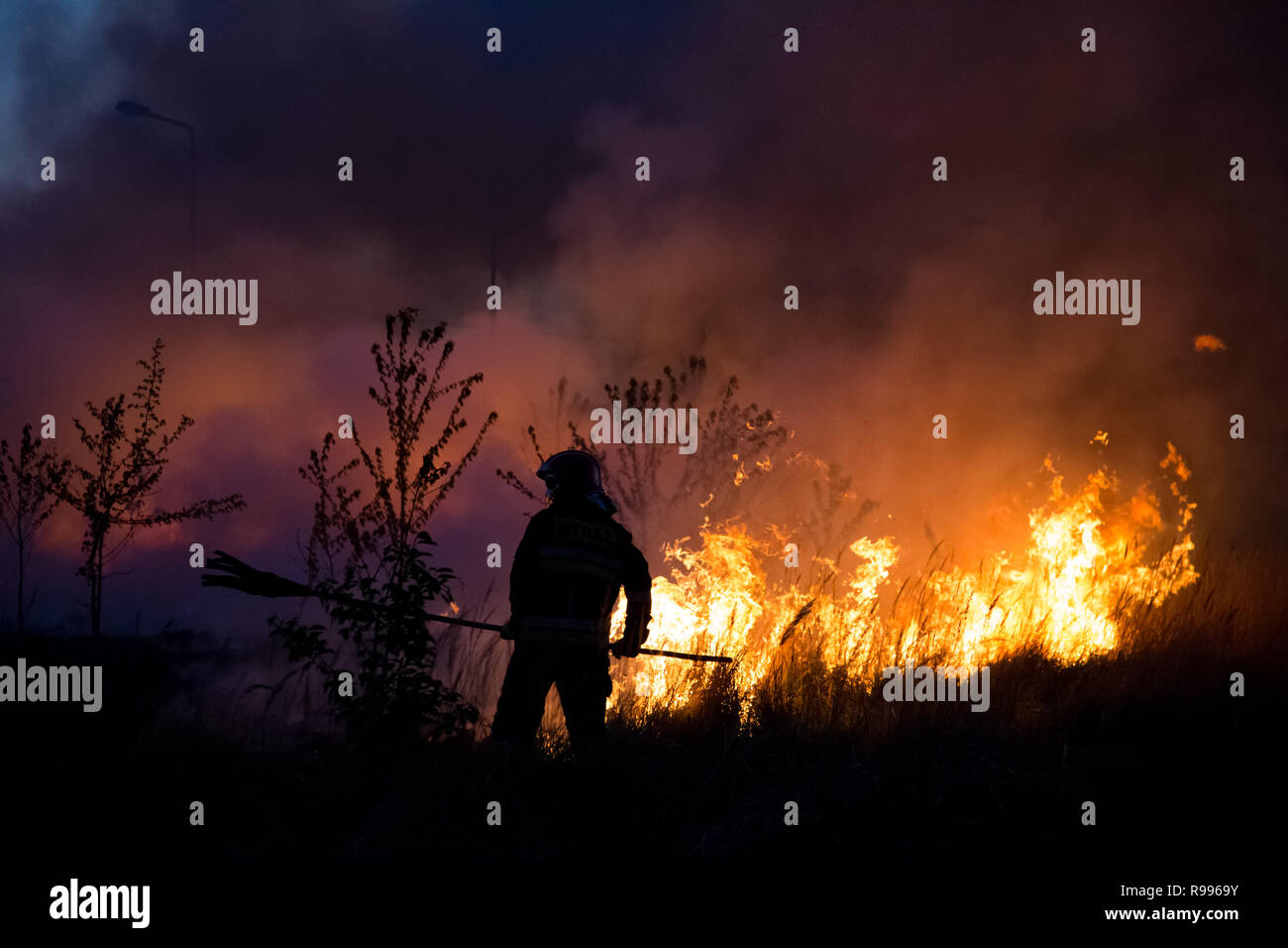 Un vigile del fuoco di combattere il fuoco di bush, utilizzando una attrezzatura antincendio. Alcuni alberi e bush burning in serata. Vasta distesa di fumo e di fiamme in backgr Foto Stock