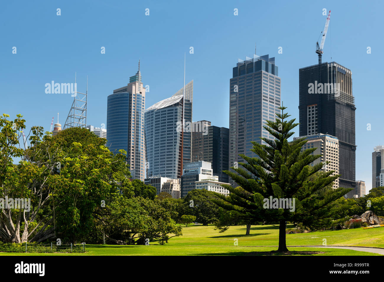 Vista dal Giardino Botanico Reale sul CBD di Sydney. Foto Stock