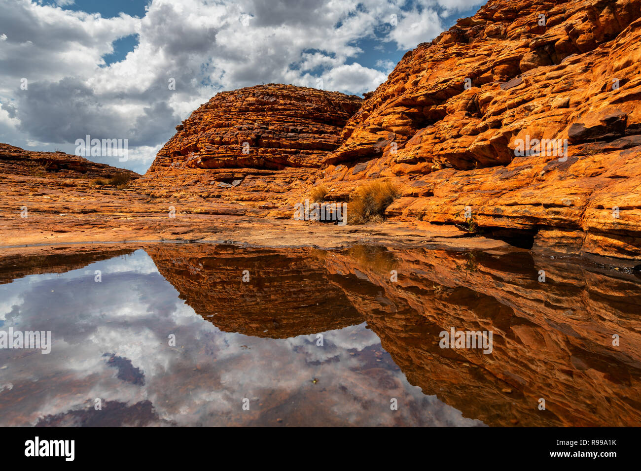 Le cupole di Watarrka (Kings Canyon) riflettendo in acqua dopo la pioggia. Foto Stock