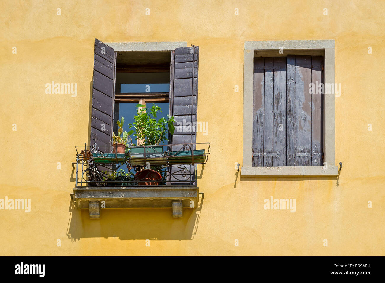 Coloratissima casa gialla parete con windows e fiore. Venezia, Italia. Foto Stock