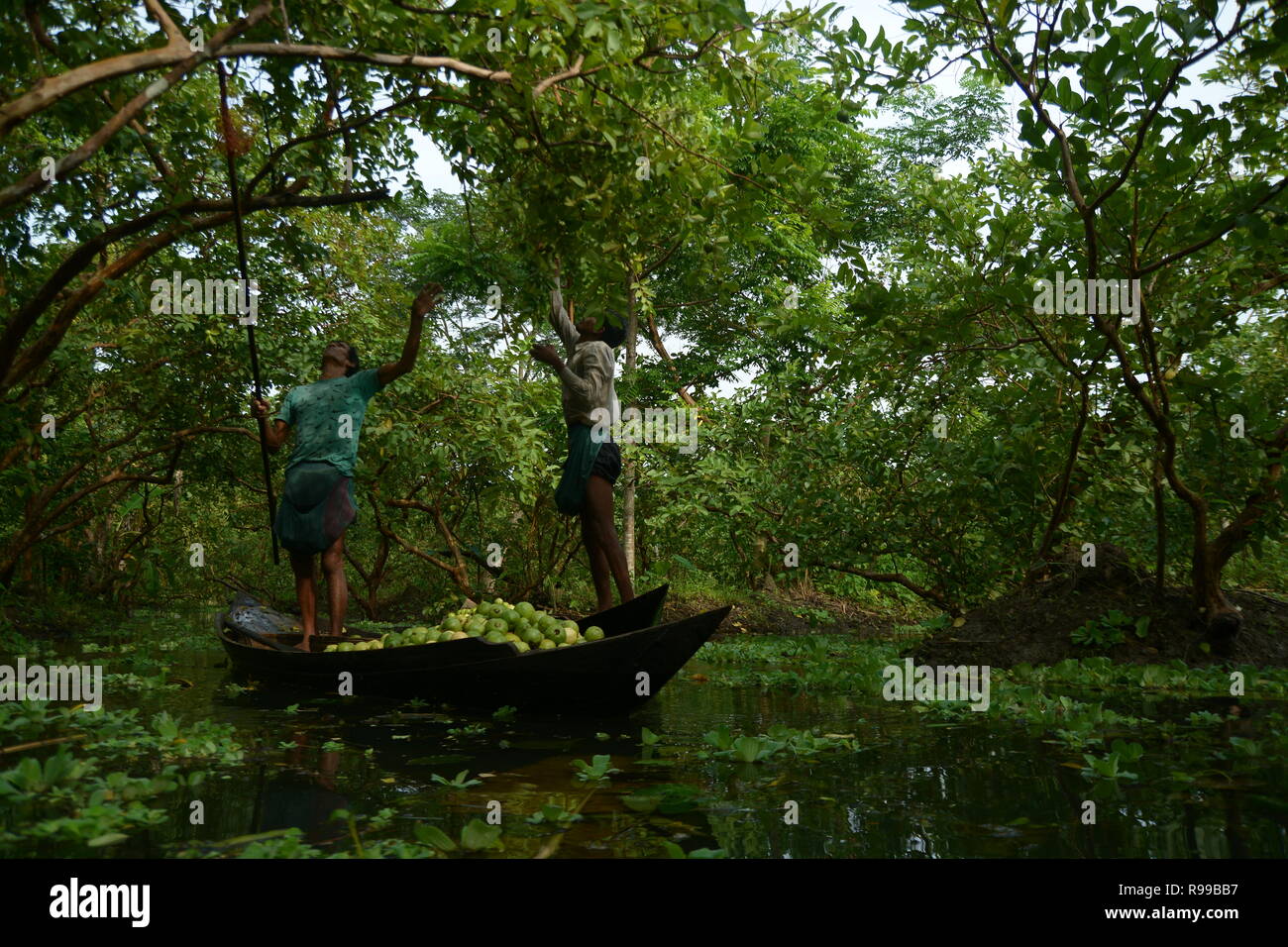 Mercato Galleggiante , Barishal , Bangladesh Foto Stock