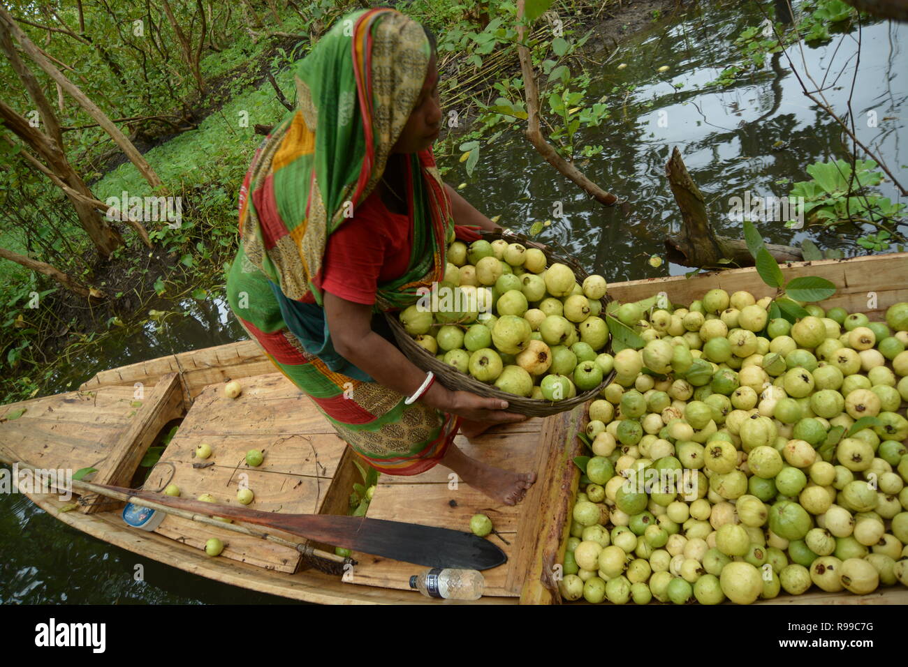 Mercato Galleggiante , Barishal , Bangladesh Foto Stock