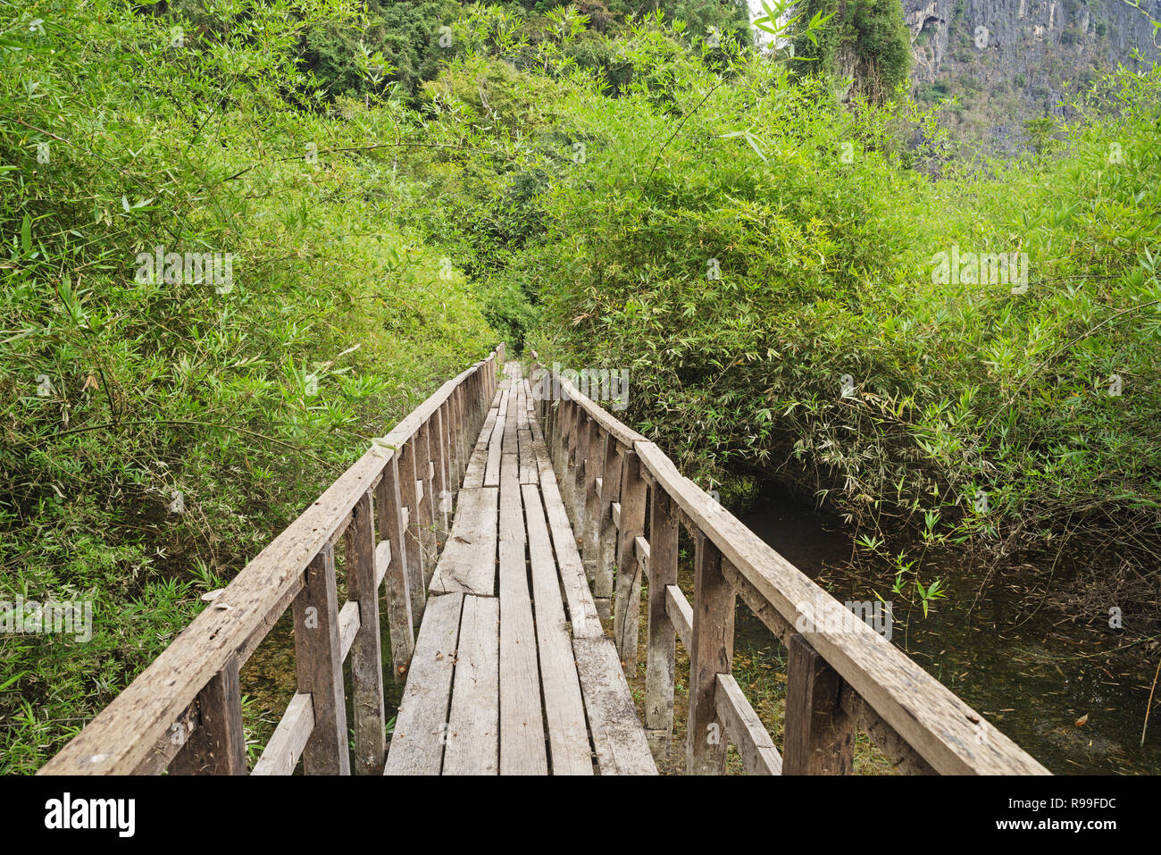 Vecchia passerella rialzata sopra una zona umida in Laos Foto Stock