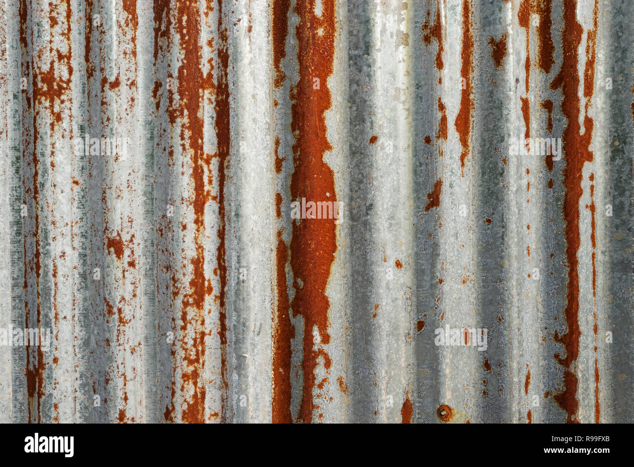 Grunge arrugginita ondulato in ferro zincato texture di sfondo Foto Stock