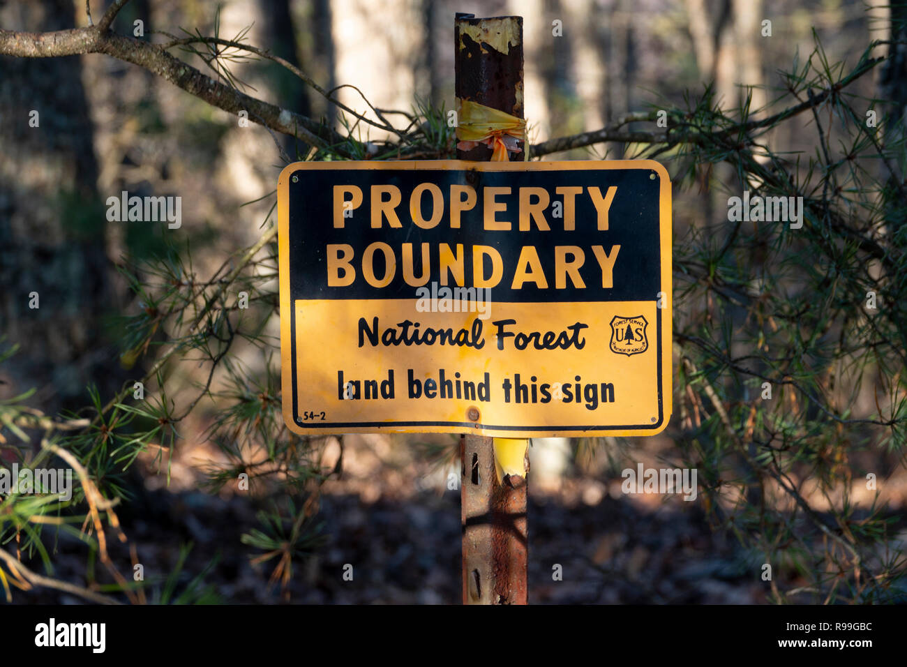 Un segno che segna il confine di un Stati Uniti Foresta Nazionale di Shenandoah Virginia boschi foresta George Washington National Forest Foto Stock