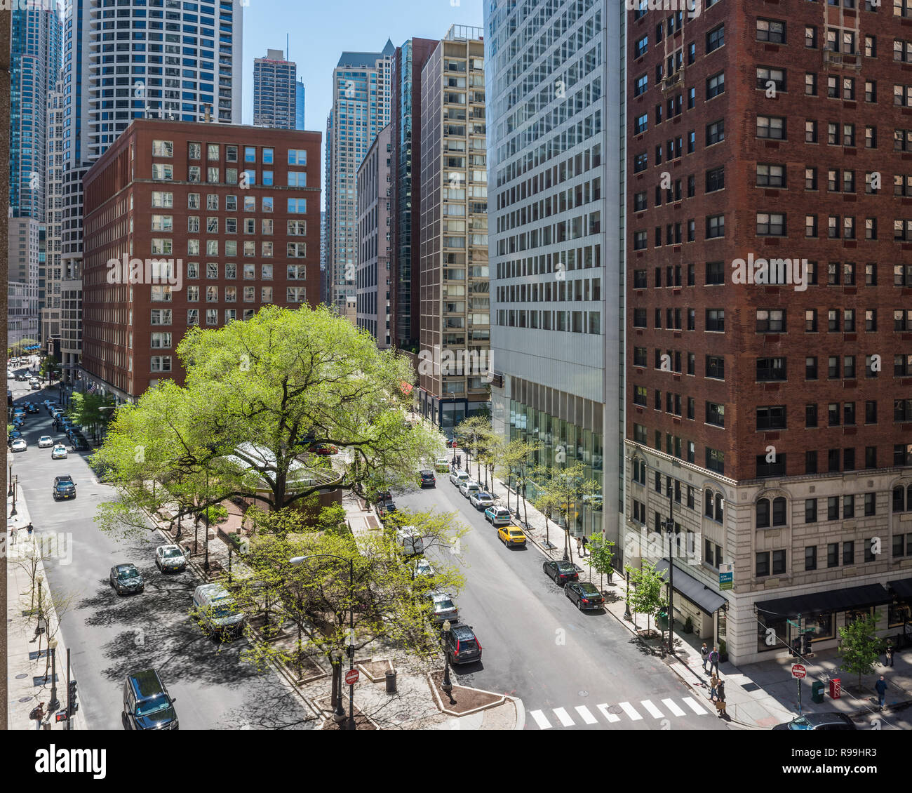 Edifici nel centro di Chicago Foto Stock