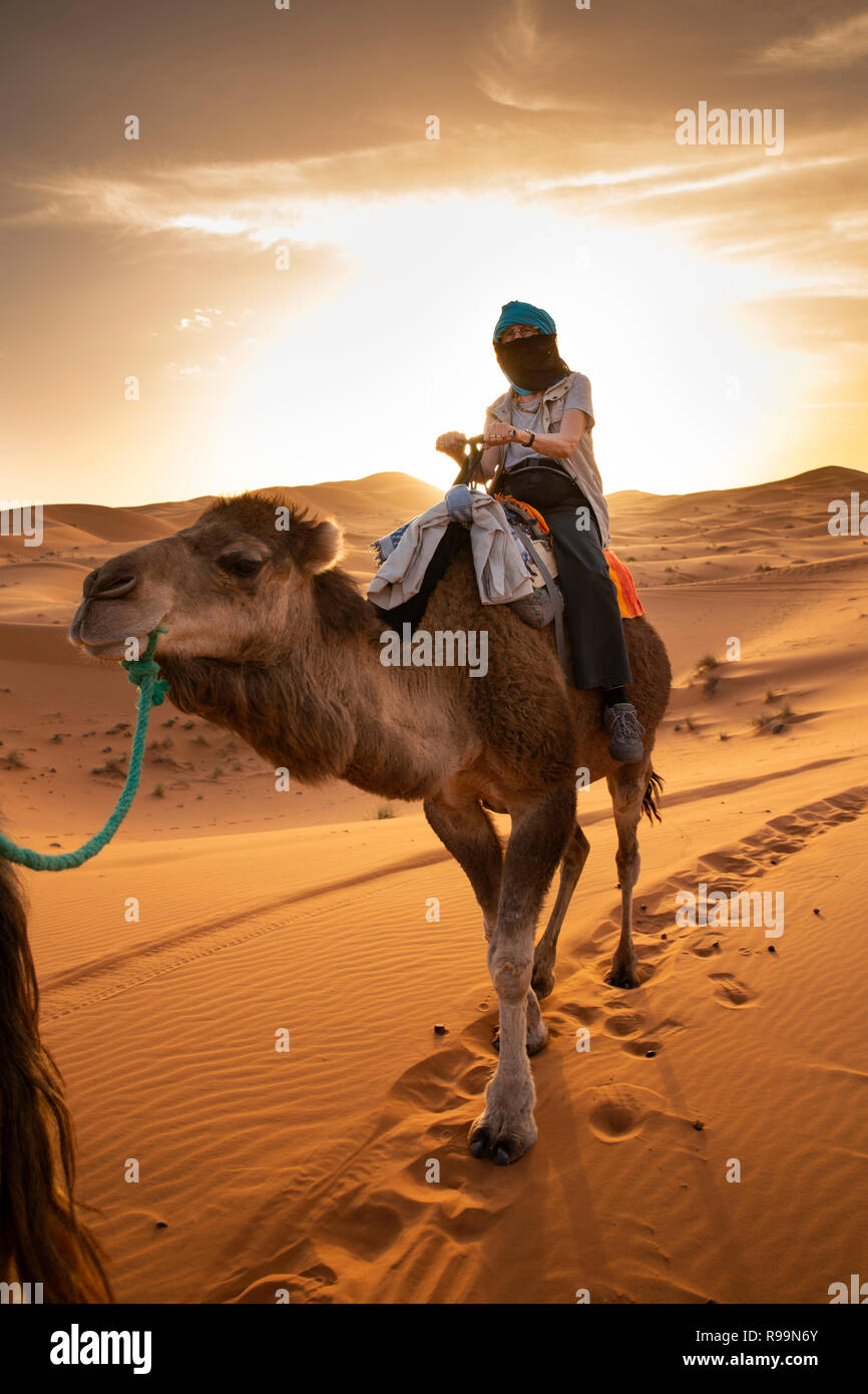 Il Marocco, Errachidia Provincia, Erg Chebbi, turisti in giro in cammello attraverso le dune di sabbia al tramonto Foto Stock