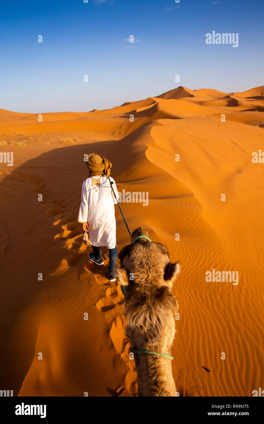 Mc645 Marocco, Errachidia Provincia, Erg Chebbi, tramonto, vista del turista sui cammelli corsa attraverso le dune Foto Stock