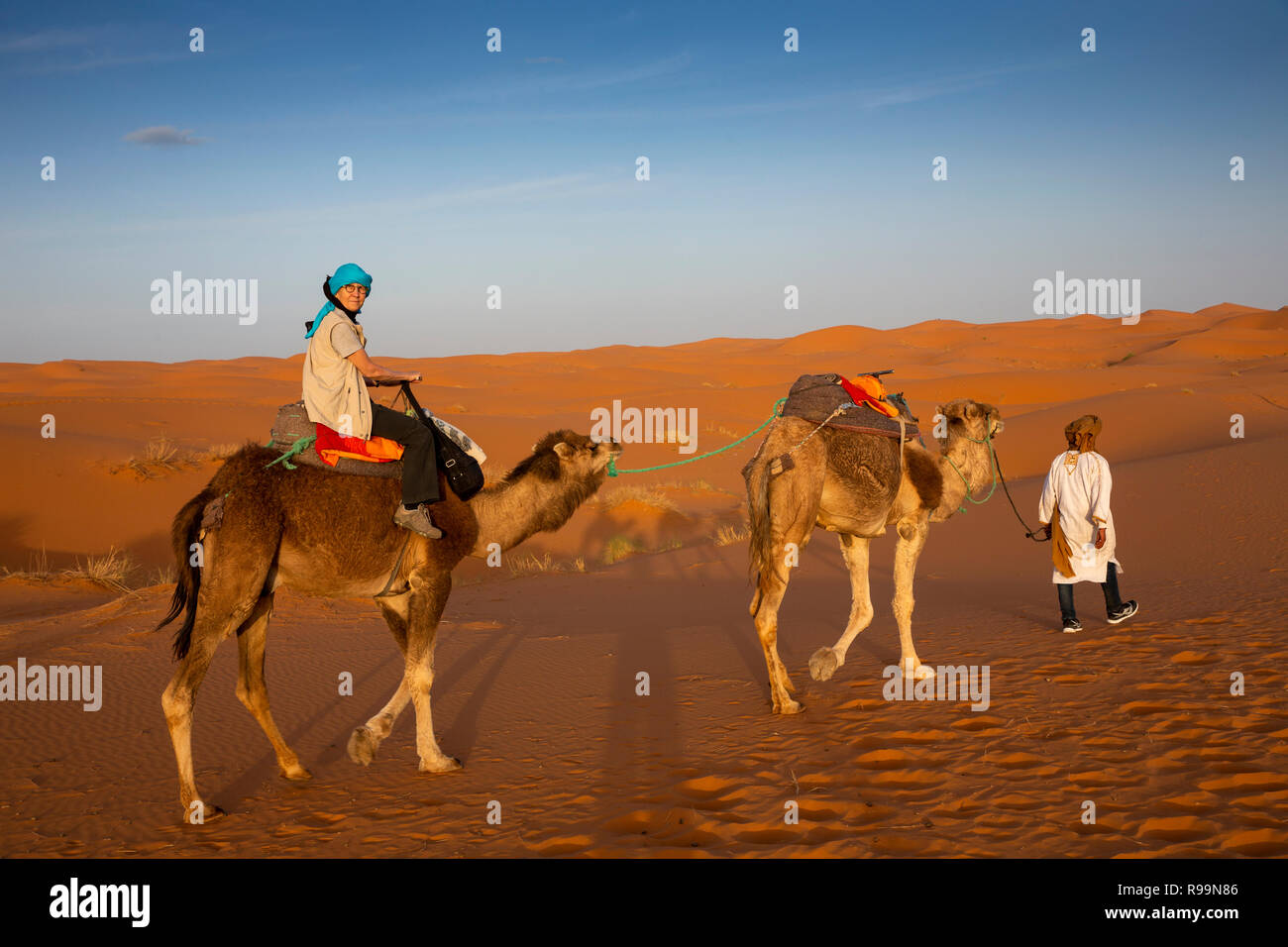 Il Marocco, Errachidia Provincia, Erg Chebbi, Berber, guida turistica leader sul cammello sulla corsa attraverso le dune Foto Stock