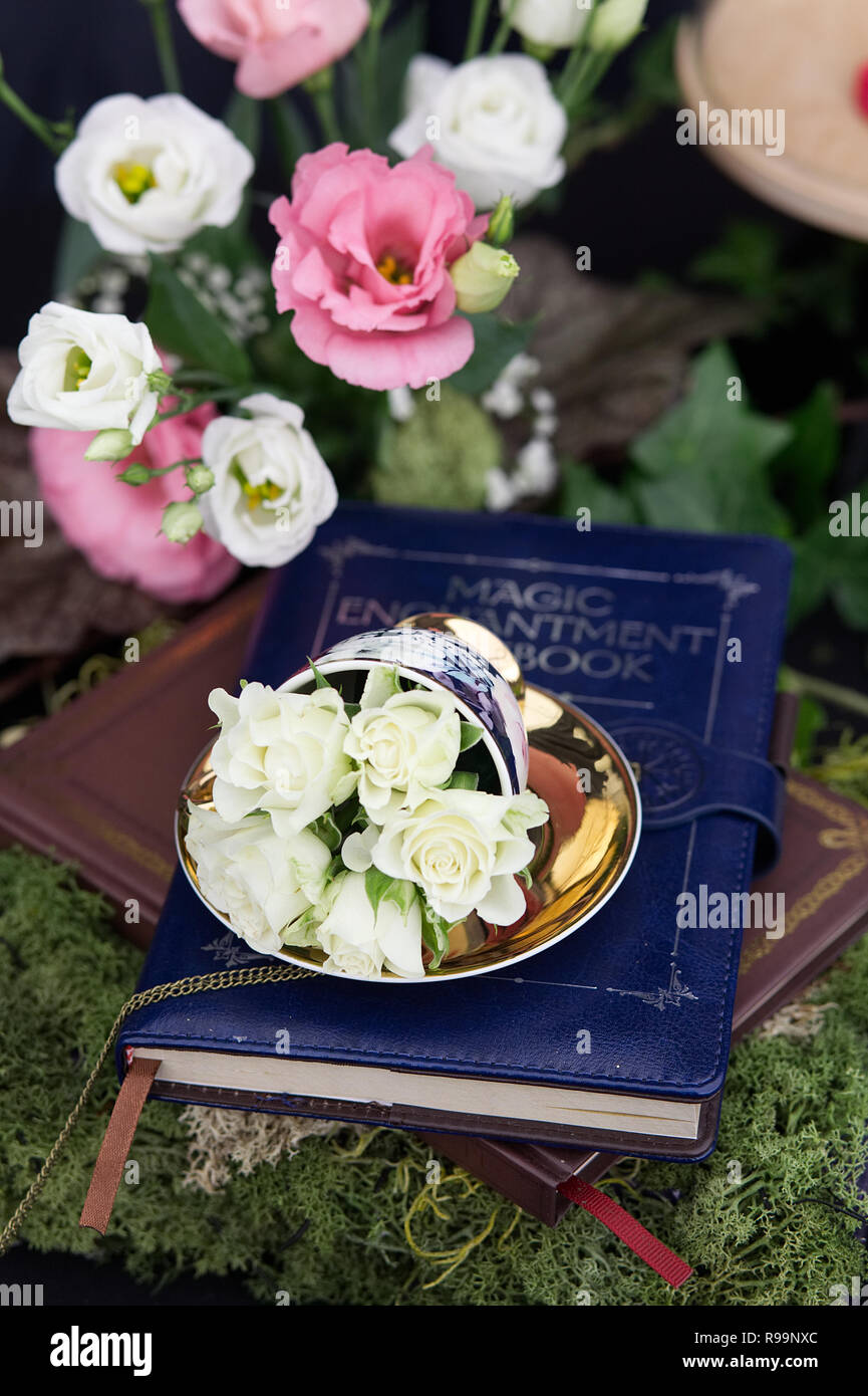 Libro di magia incantesimi a Malvern autunno mostra Foto Stock