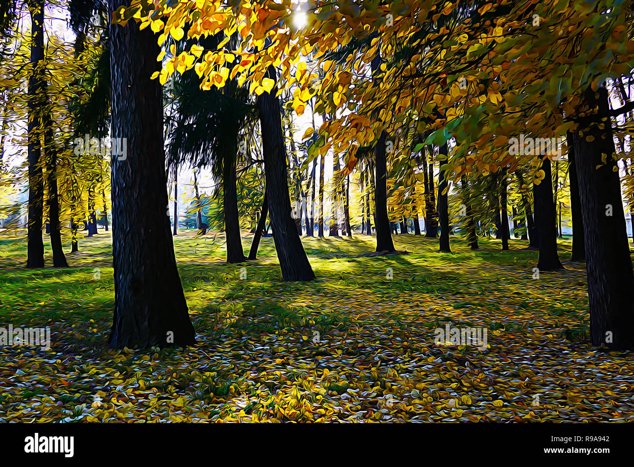 Nello spazio tra le foglie di autunno il sole brilla luminoso. Dark tronchi di alberi dietro il giallo di foglie di betulla. Russia, Mosca. Foto elaborate da olio Foto Stock