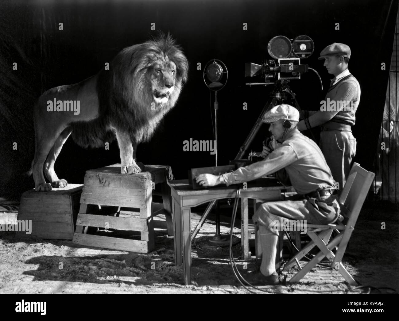 Riprese del logo per la Metro Goldwyn Mayer. Pellicola originale titolo: STORIA DEL CINEMA: M. G. M.. Titolo inglese: FILM STORIA: M. G. M.. Anno: 1928. Foto Stock