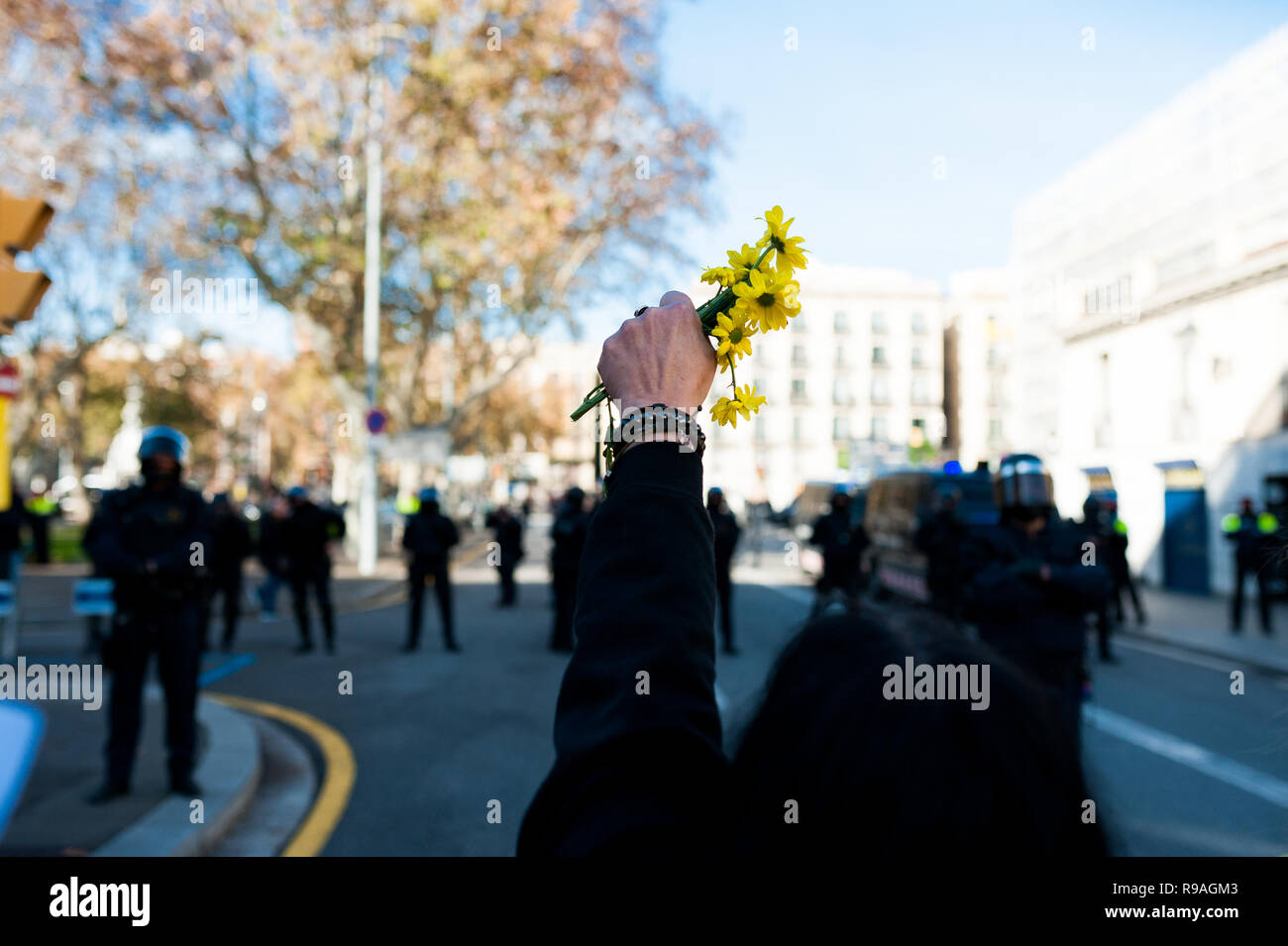 Barcellona, Spagna. Xxi Dic 2018. catalano independentists , chiamato Cdr, tenere fiori gialli in segno di pace durante gli scontri con la polizia contro una riunione di governo Foto Stock