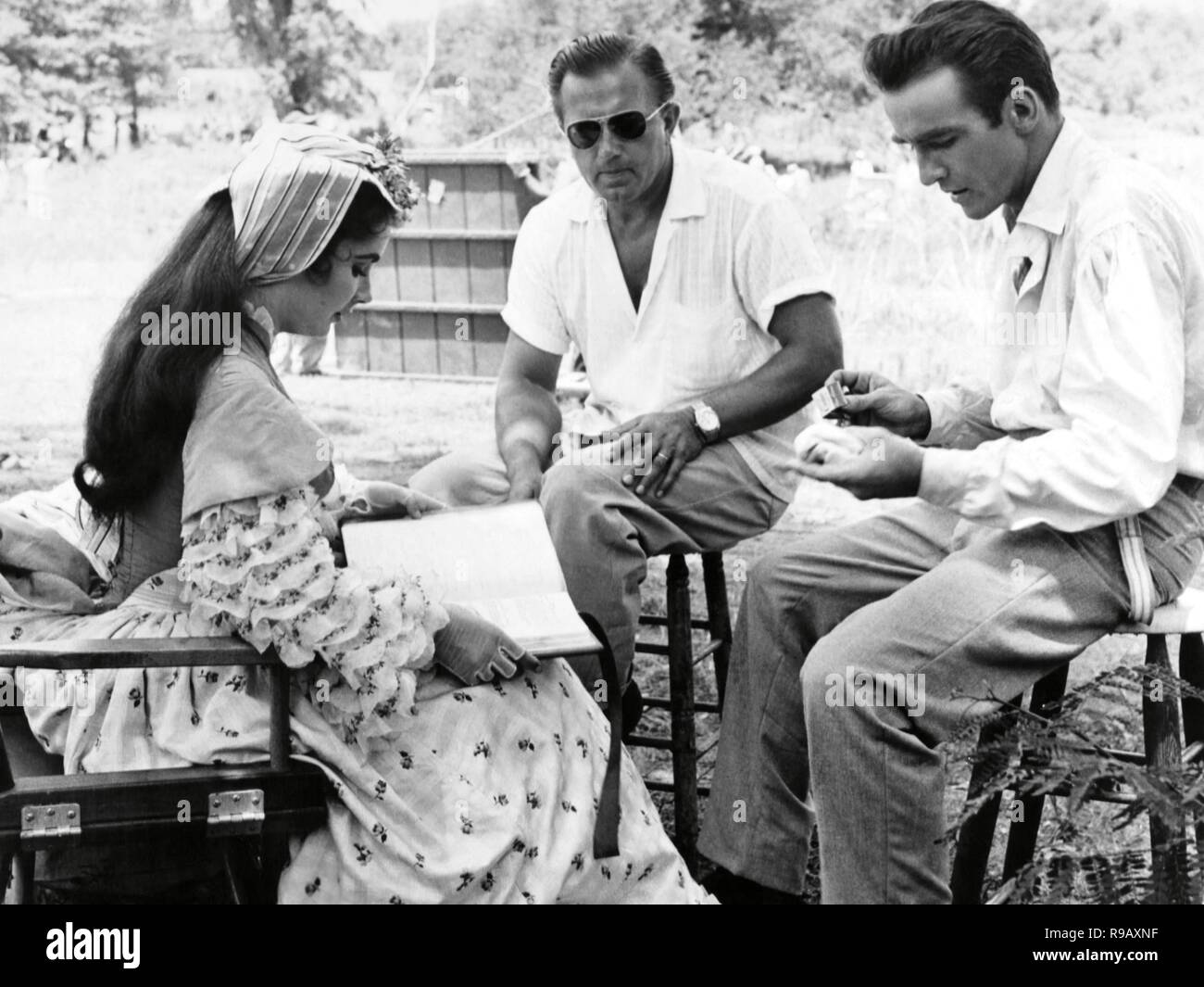 Pellicola originale titolo: RAINTREE COUNTY. Titolo inglese: RAINTREE COUNTY. Anno: 1957. Direttore: EDWARD DMYTRYK. Stelle: EDWARD DMYTRYK; Elizabeth Taylor; MONTGOMERY CLIFT. Credito: M.G.M / Album Foto Stock