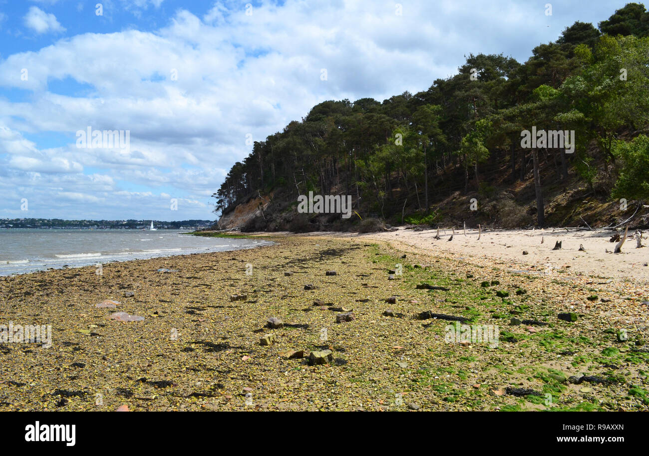 Sulla spiaggia di Brownsea Island, Hampshire, Regno Unito Foto Stock