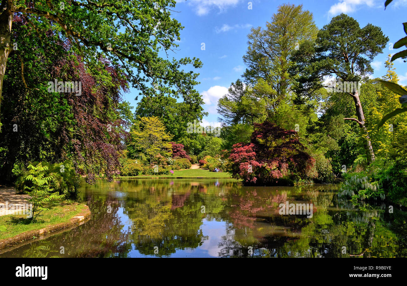 Exbury Gardens, Hampshire, Regno Unito Foto Stock