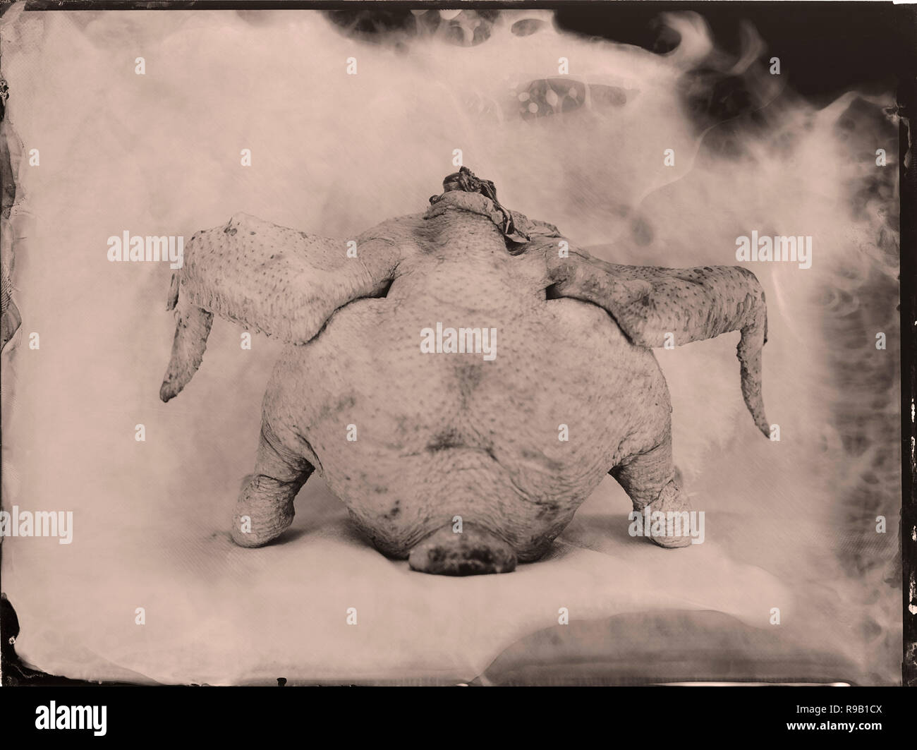Piastra umida collodio (ambrotype) per Hell's Kitchen progetto. Foto Stock