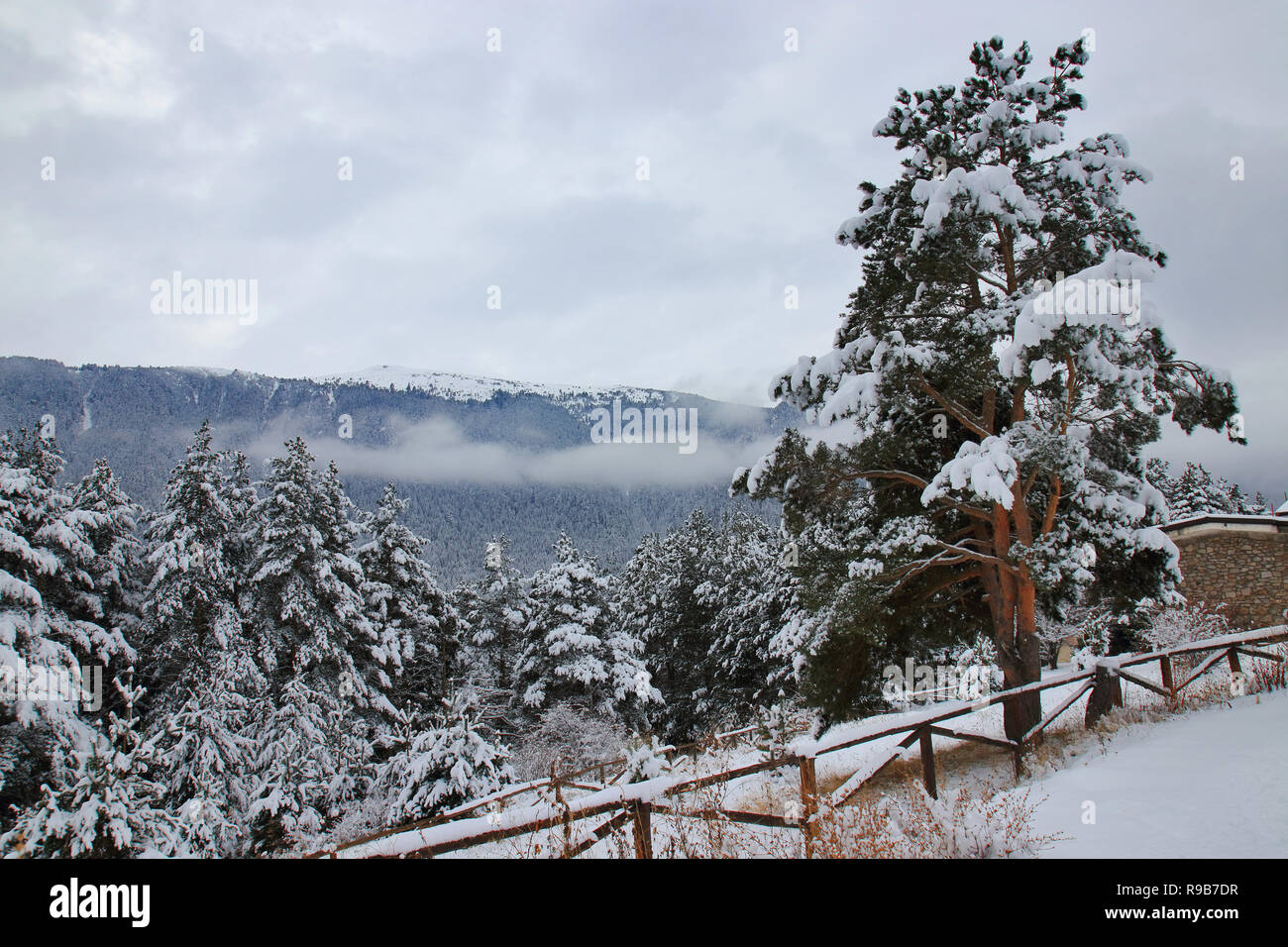 Storia di inverno Foto Stock