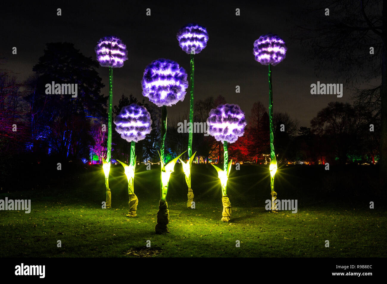 Glow 2018 Giardino RHS Wisley, Natale evento illuminazione ad RHS Wisley, Surrey, England, Regno Unito Foto Stock