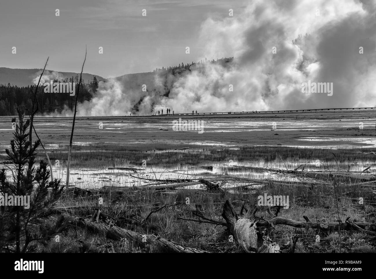 Midway Geyser Basin e il Grand Prismatic Spring in bianco e nero - Yellowstone NP Foto Stock