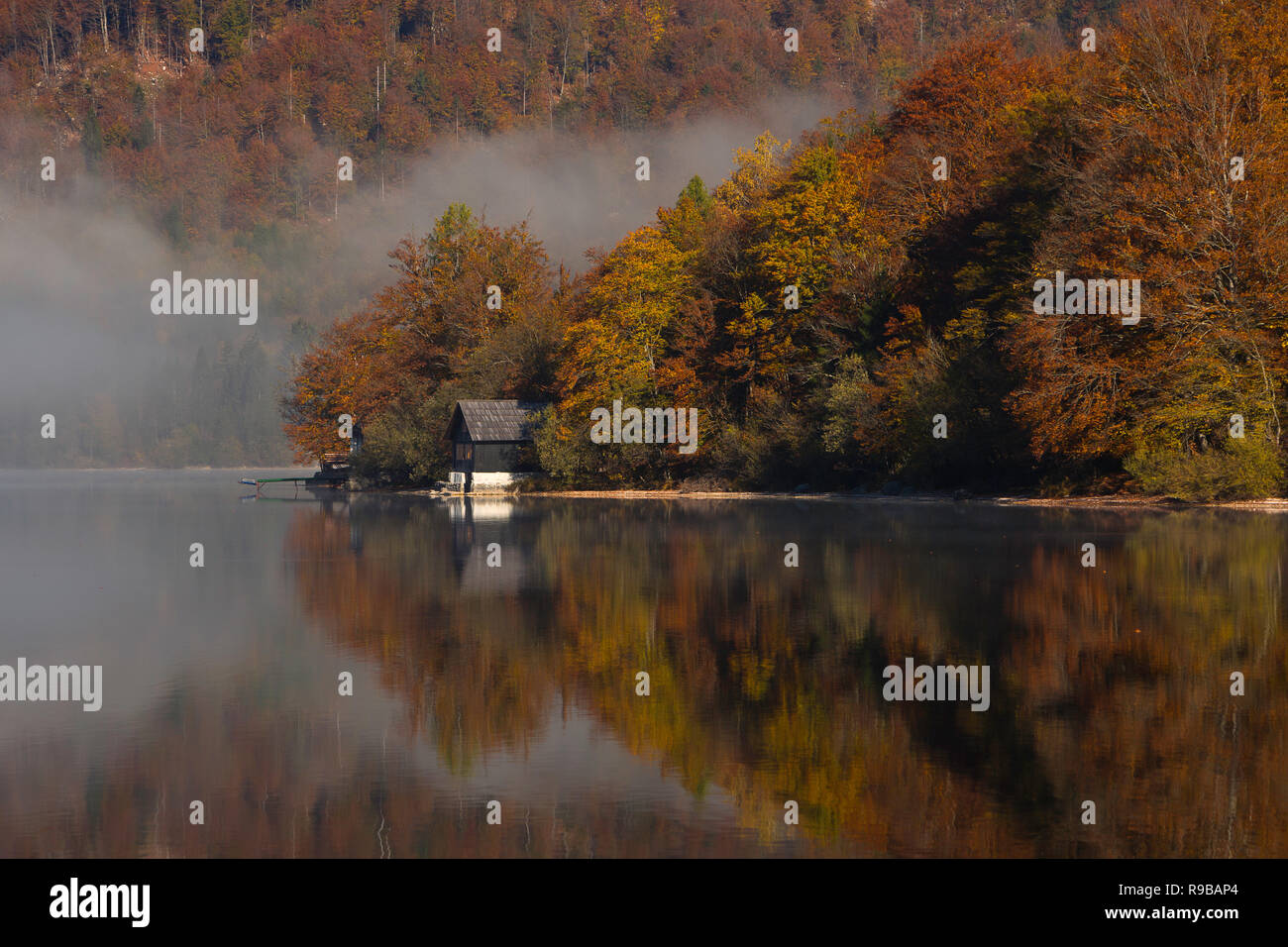 La nebbia si solleva dal lago di Bohinj in autunno in Slovenia. Foto Stock