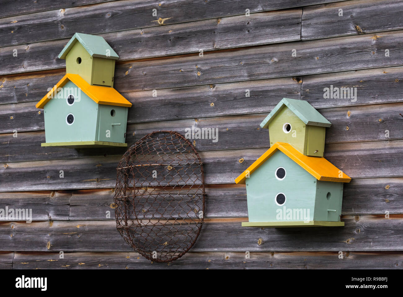 Scatole di nido, Scozia, Regno Unito, Foto Stock