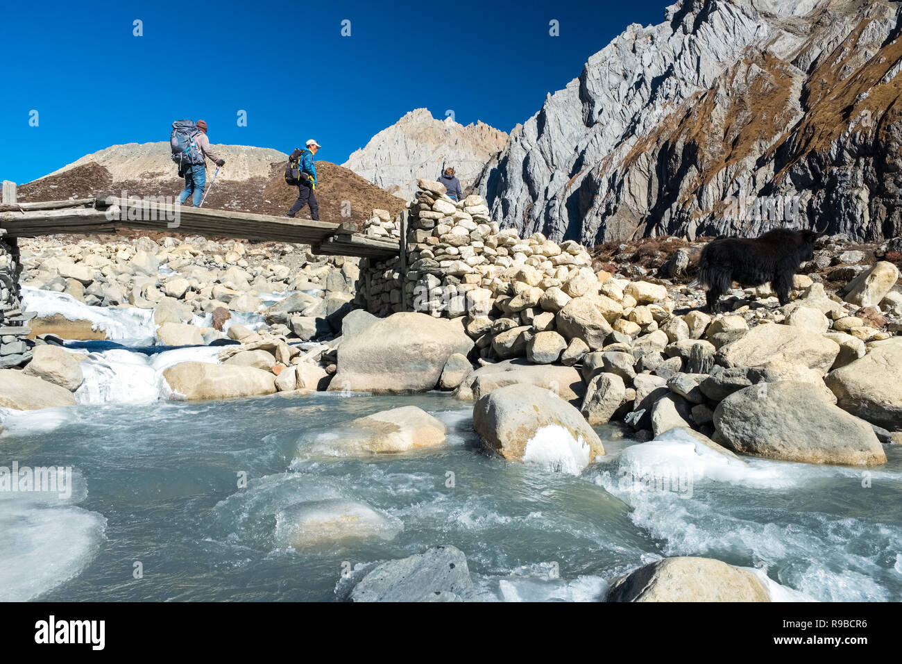 Il trekking attraversando ponte di legno su un fiume glaciale sul circuito di Manaslu Trek, Nepal Himalaya Foto Stock