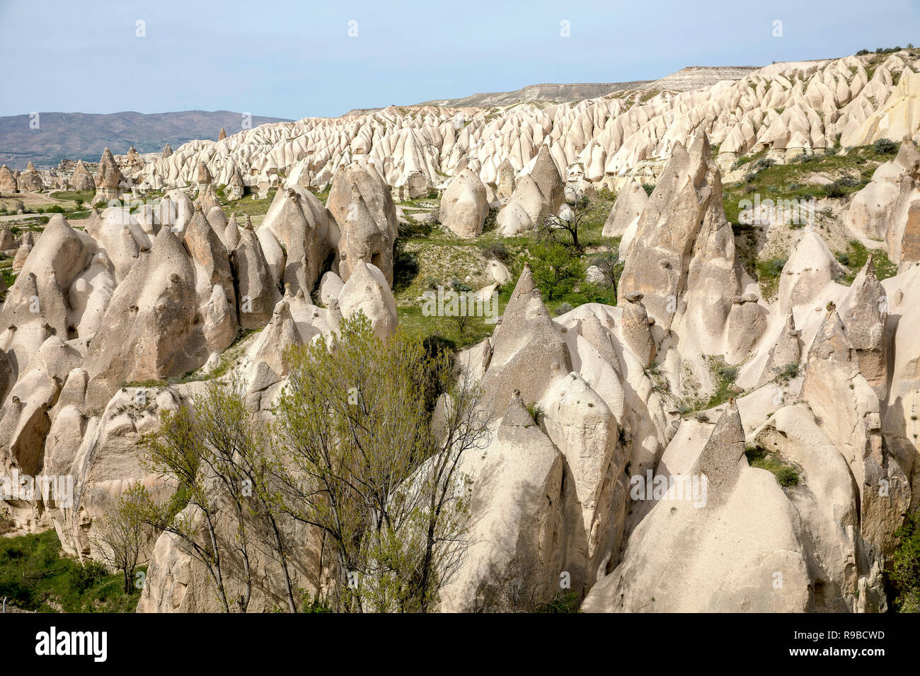 La Turchia kapadokya naturale formazioni vulcaniche situato nella valle di Göreme. Foto Stock