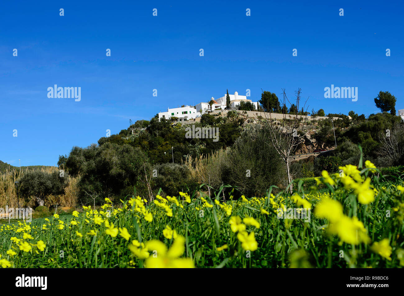 Santa Eulària des Riu, Ibiza Foto Stock