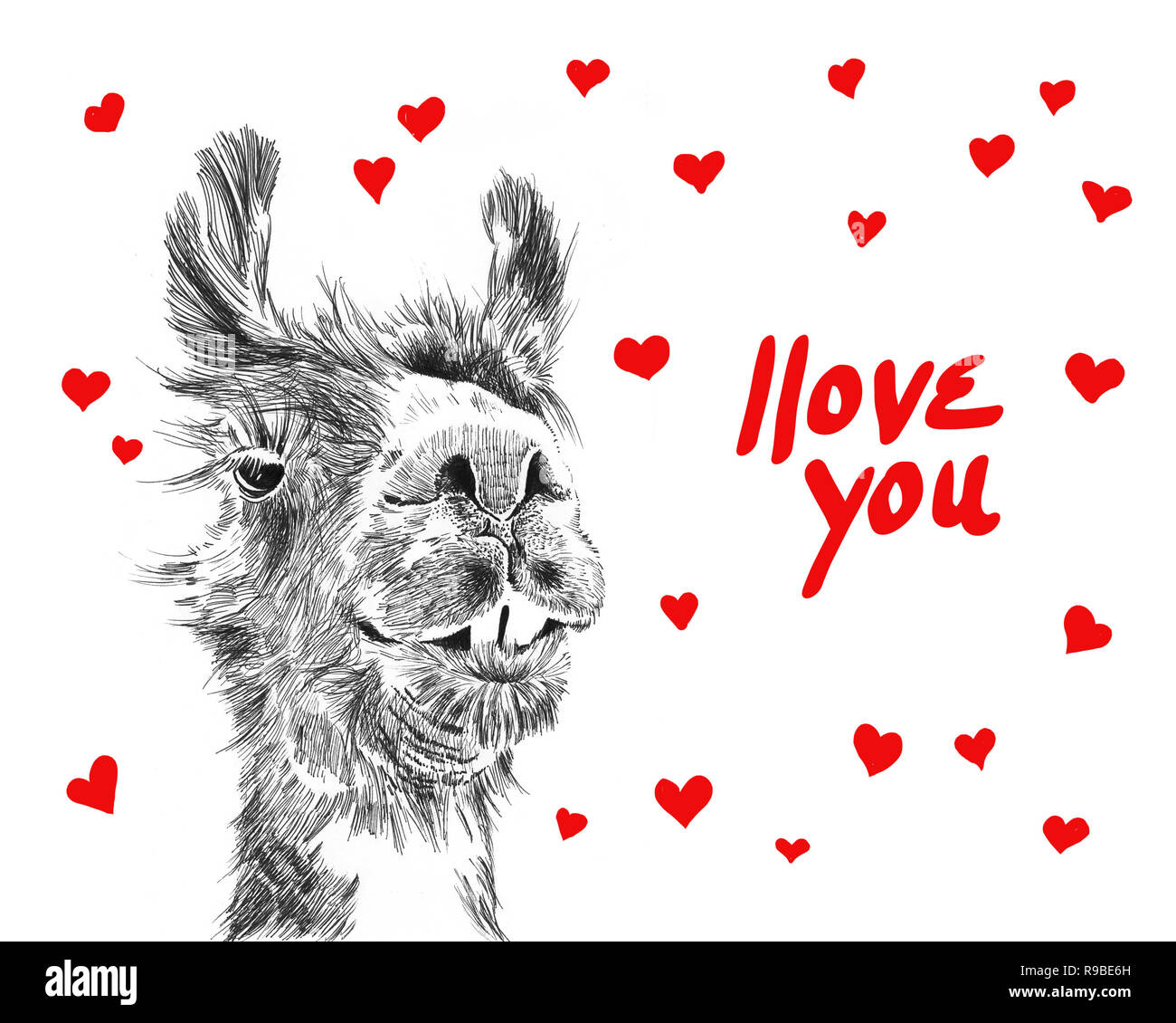 Happy valentines day illustrazione di carino llama circondato da cuori dire ti amo in rosso manoscritta tipografia lettere, divertimento scherzoso valentines Foto Stock