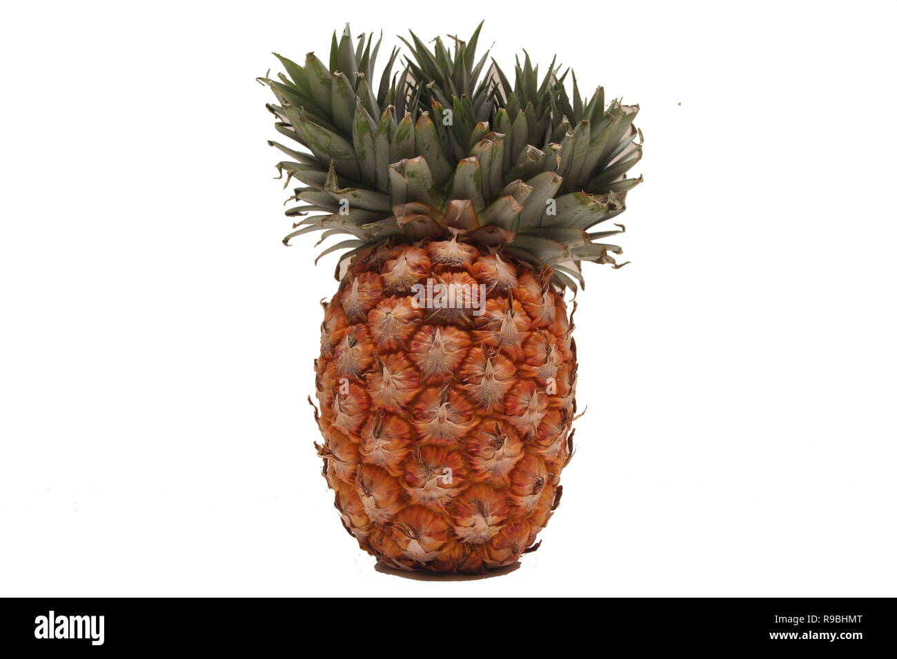 Appena un maturo ananas (Ananas) Foto Stock