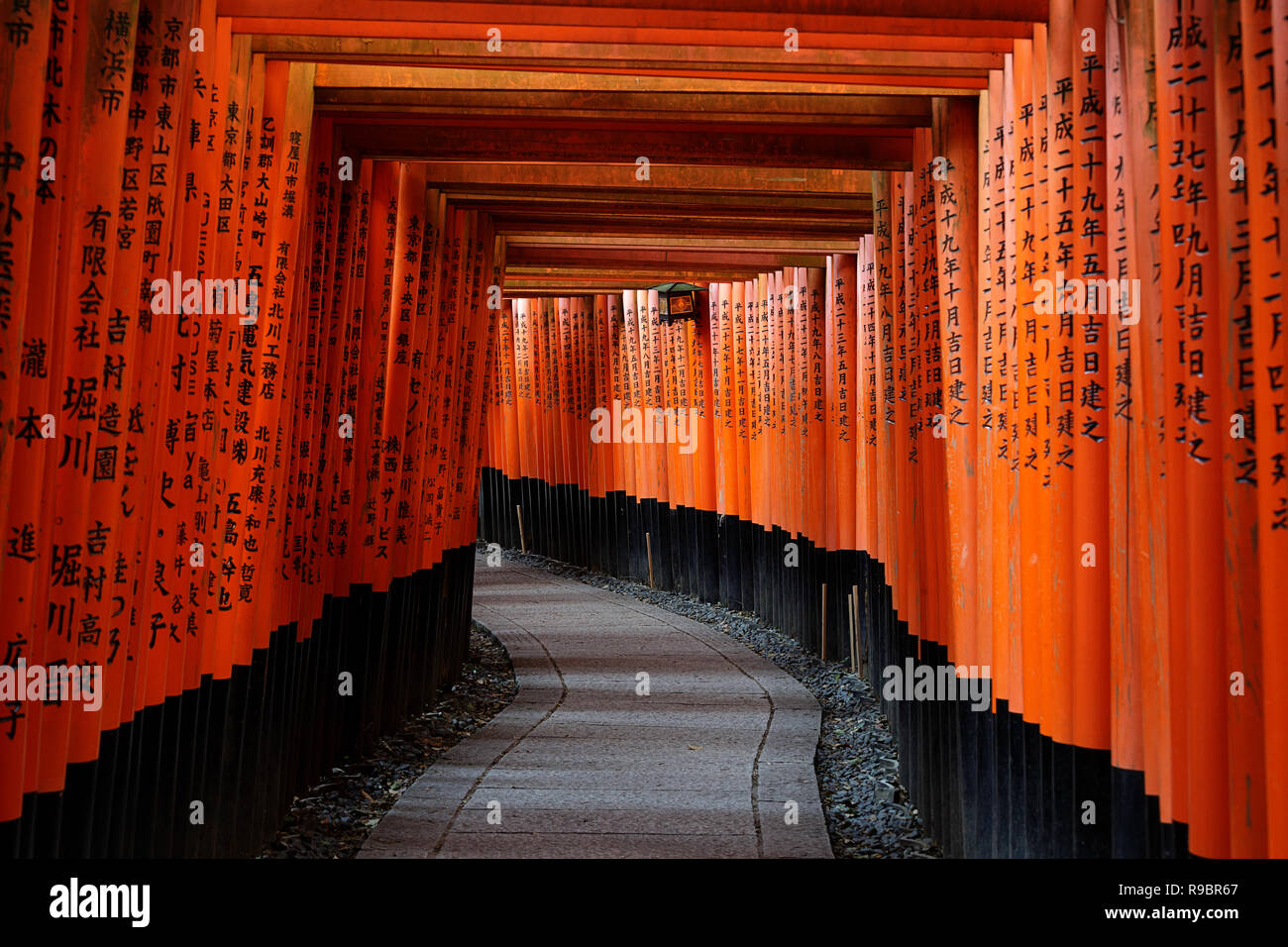 Bella tunnel di torii porte in Fushimi Inari santuario di Kyoto, Giappone Foto Stock