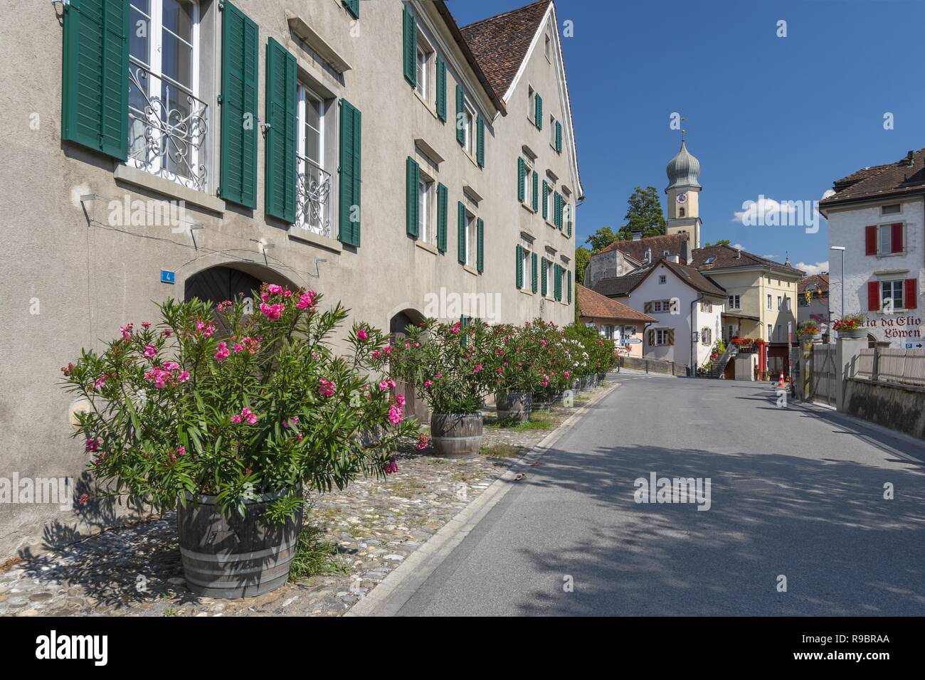 Comune Maienfeld nella regione di Landquart, cantone svizzero dei Grigioni. Destinazione turistica delle Alpi, il vino locale e fu l'impostazione della storia Heidi, Svizzera. Foto Stock