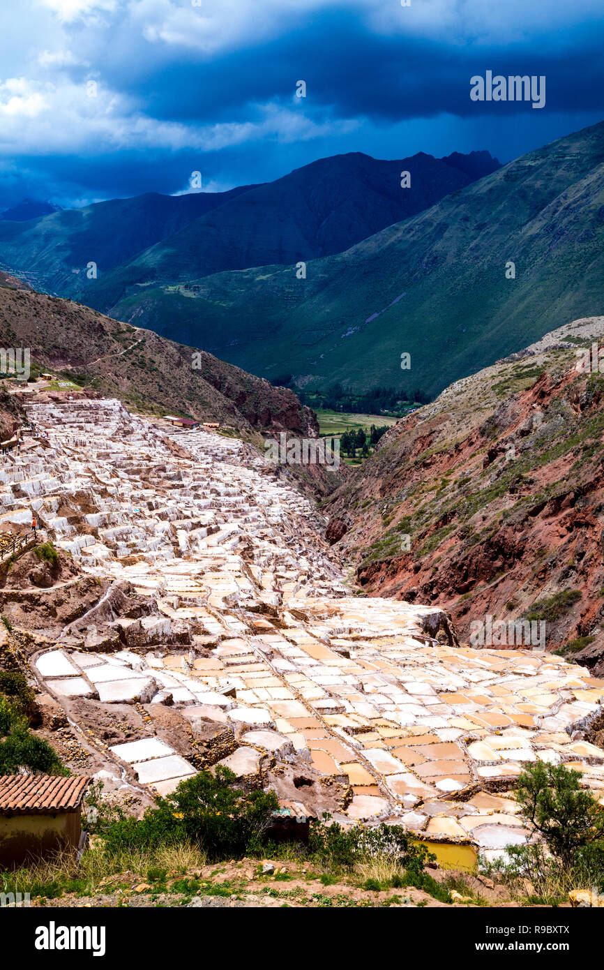 Stagni di sale terrazzati di Maras (Salinas de Maras), Valle Sacra, Perù Foto Stock