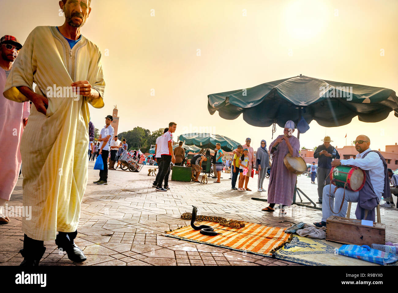 Scena di strada con serpenti incantatore e musicisti in Djemaa el Fna piazza del mercato a Medina di Marrakesh trimestre. Marrakech, Marocco, Africa del Nord Foto Stock